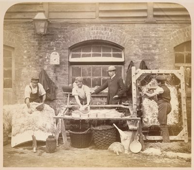 Workers making sheepskin rugs by English Photographer